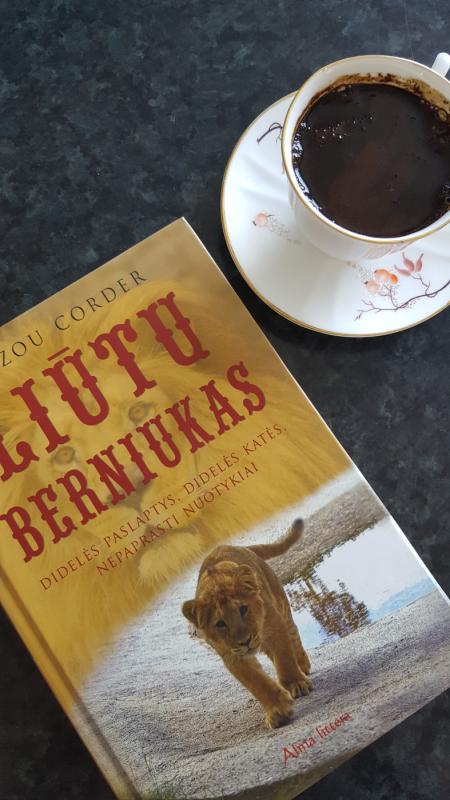 Liūtų berniukas - Zizou Corder, knyga 2