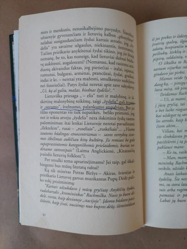 Žali žydų plaukai - Rimantas Vanagas, knyga 6