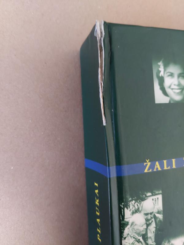 Žali žydų plaukai - Rimantas Vanagas, knyga 3