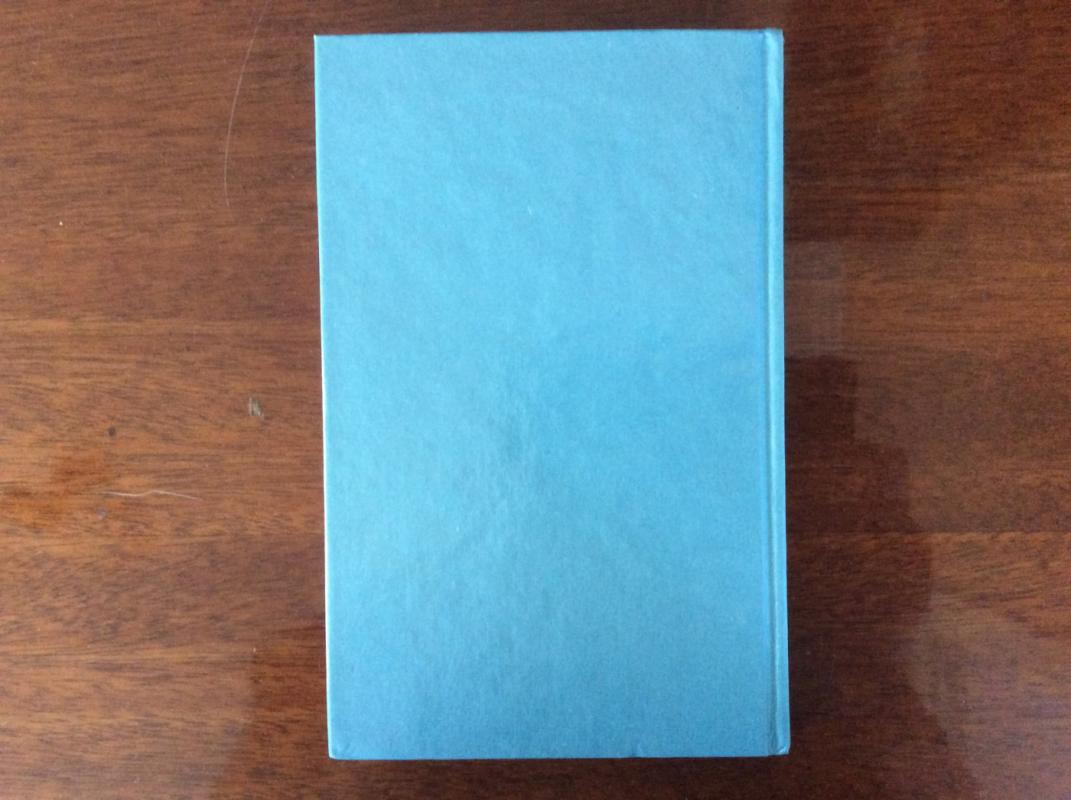 Džono Deviso nuotykiai - Aleksandras Diuma, knyga 4