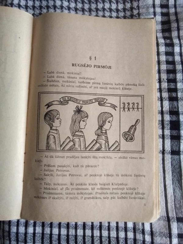 Lietuvių kalbos vadovėlis mokyklų dėstomąja rusų kalba VI klasei - J. Aleksandravičius, knyga 4
