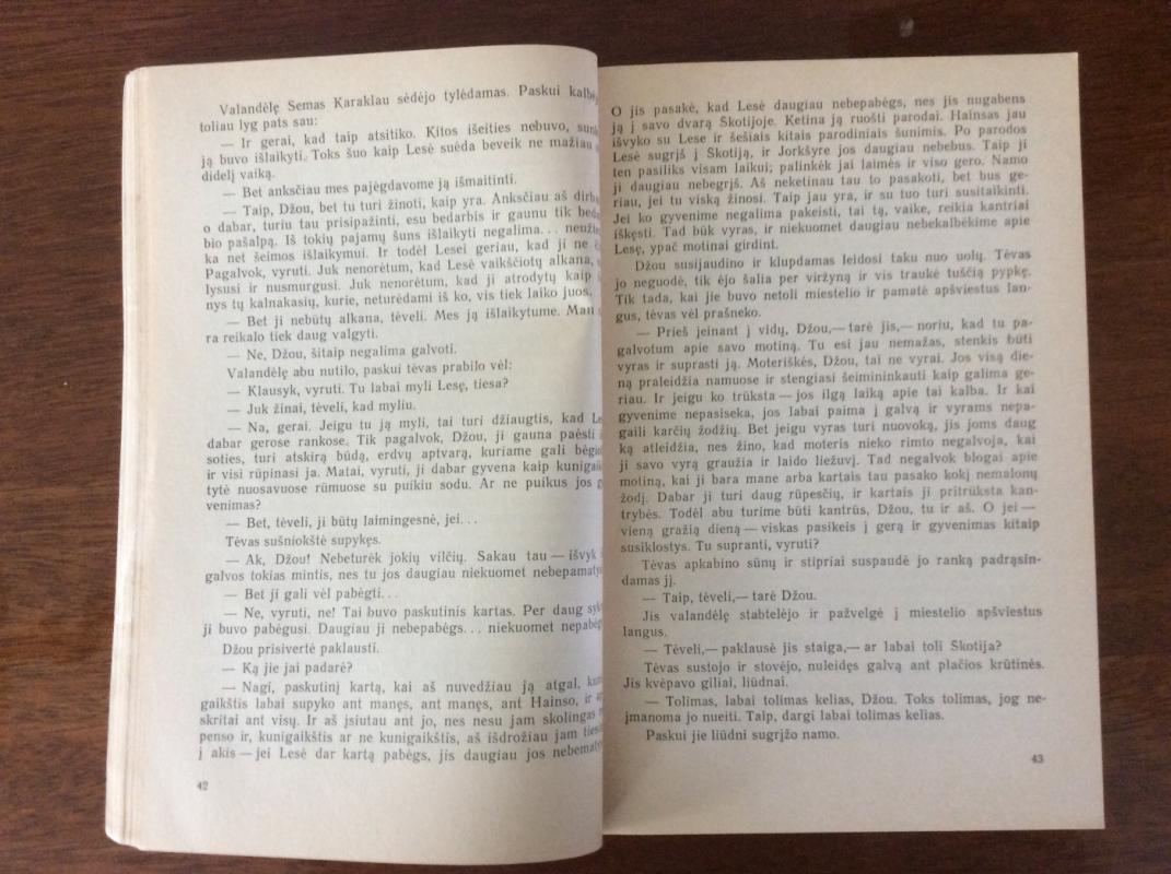 Lesė grįžta - Erikas Naitas, knyga 4