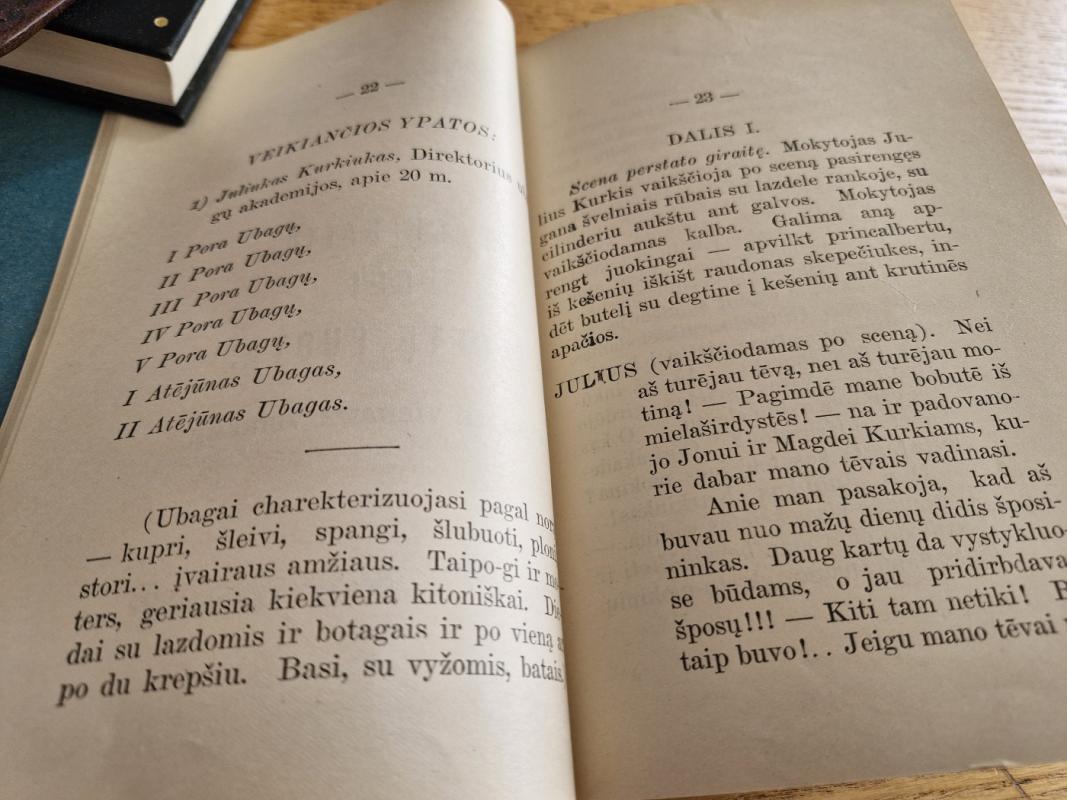 I UBAGŲ AKADEMIJA II UBAGŲ BALIUS bei ELGETŲ PUOTA - SEIRYJŲ JUOZUKAS, knyga 5