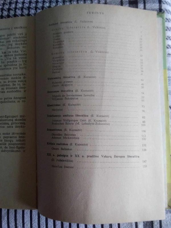 Vakarų Europos literatūra 9-10 - E. Kuosaitė ir kiti, knyga 4