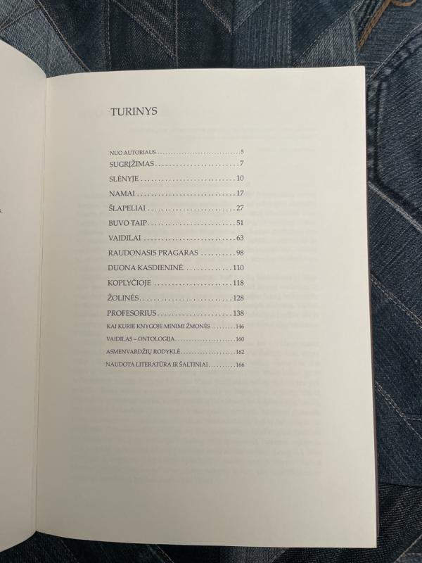 Rapolo slėnis - Sigitas Andrulevičius, knyga 2