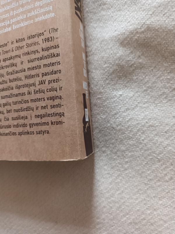 Dailiausia moteris mieste - Charles Bukowski, knyga 5