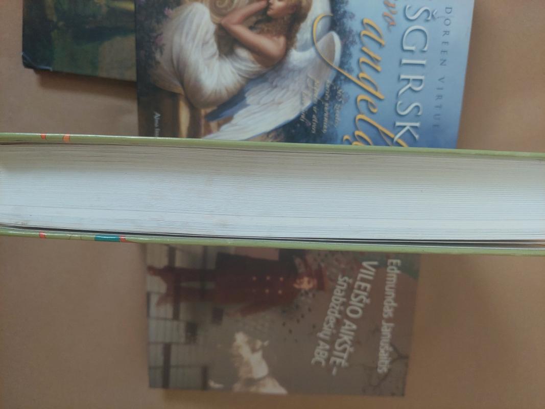 Lietuvos kariuomenė 1918-1920 - Vytautas Lesčius, knyga 3