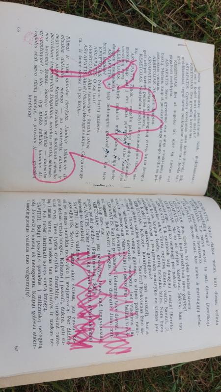 Mareckaitė Berniukas su balandžiu - Gražina Mareckaitė, knyga 3