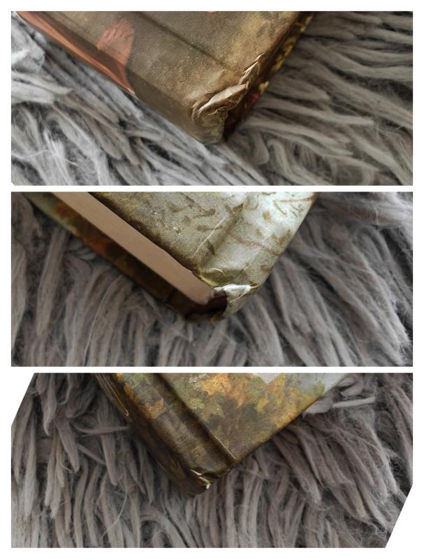 Slapta istorija - Donna Tartt, knyga 3