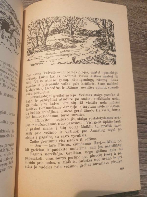 Dėdės Tomo trobelė - H. Bičer-Stou, knyga 4