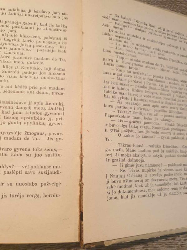 Dėdės Tomo trobelė - H. Bičer-Stou, knyga 5