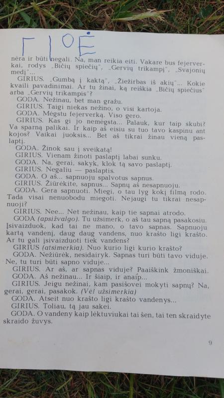 Mareckaitė Berniukas su balandžiu - Gražina Mareckaitė, knyga 4
