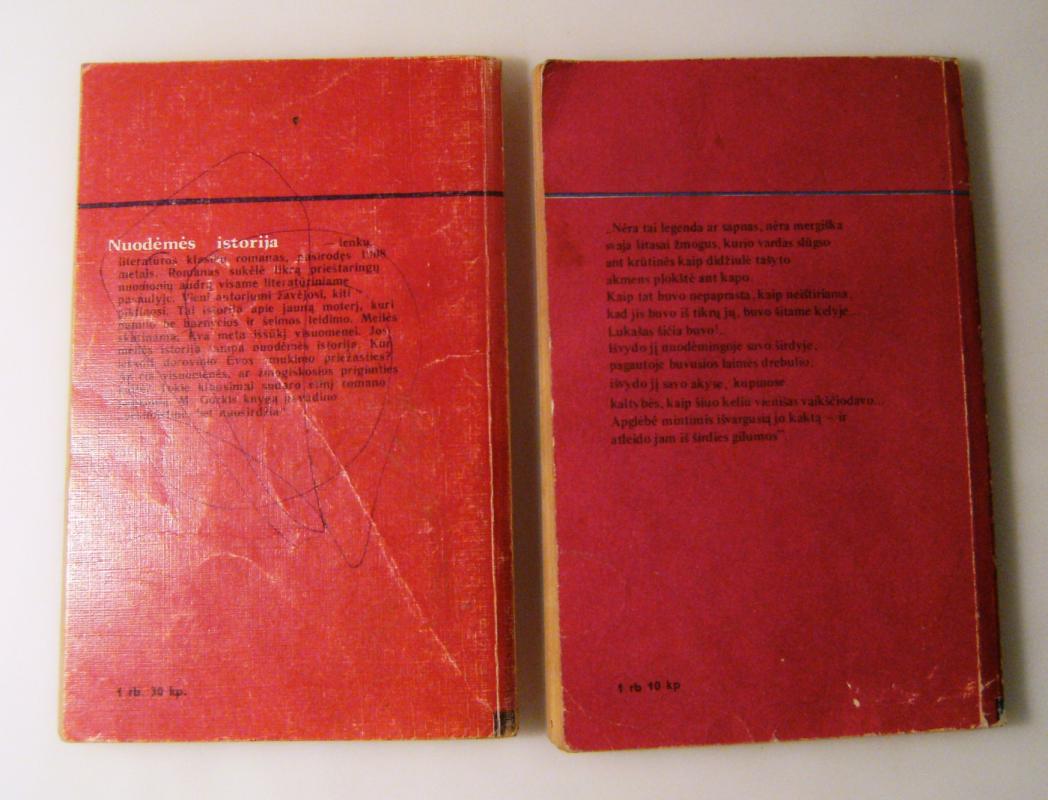 Nuodėmės istorija (dvi dalys) - Stefanas Žeromskis, knyga 3