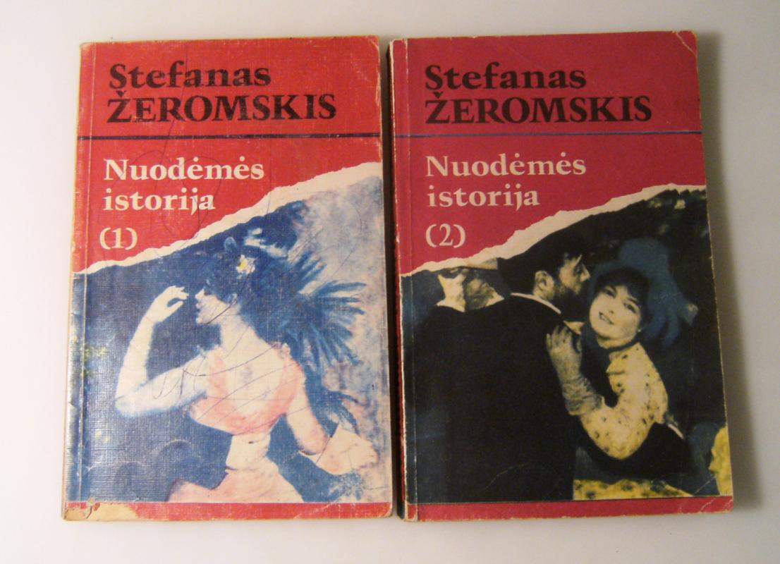 Nuodėmės istorija (dvi dalys) - Stefanas Žeromskis, knyga 2