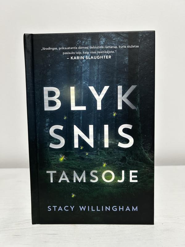 Blyksnis tamsoje - Stacy Willingham, knyga 2