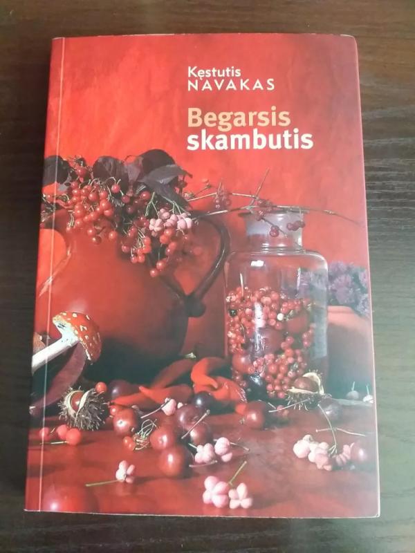 Begarsis skambutis - Kęstutis Navakas, knyga 2