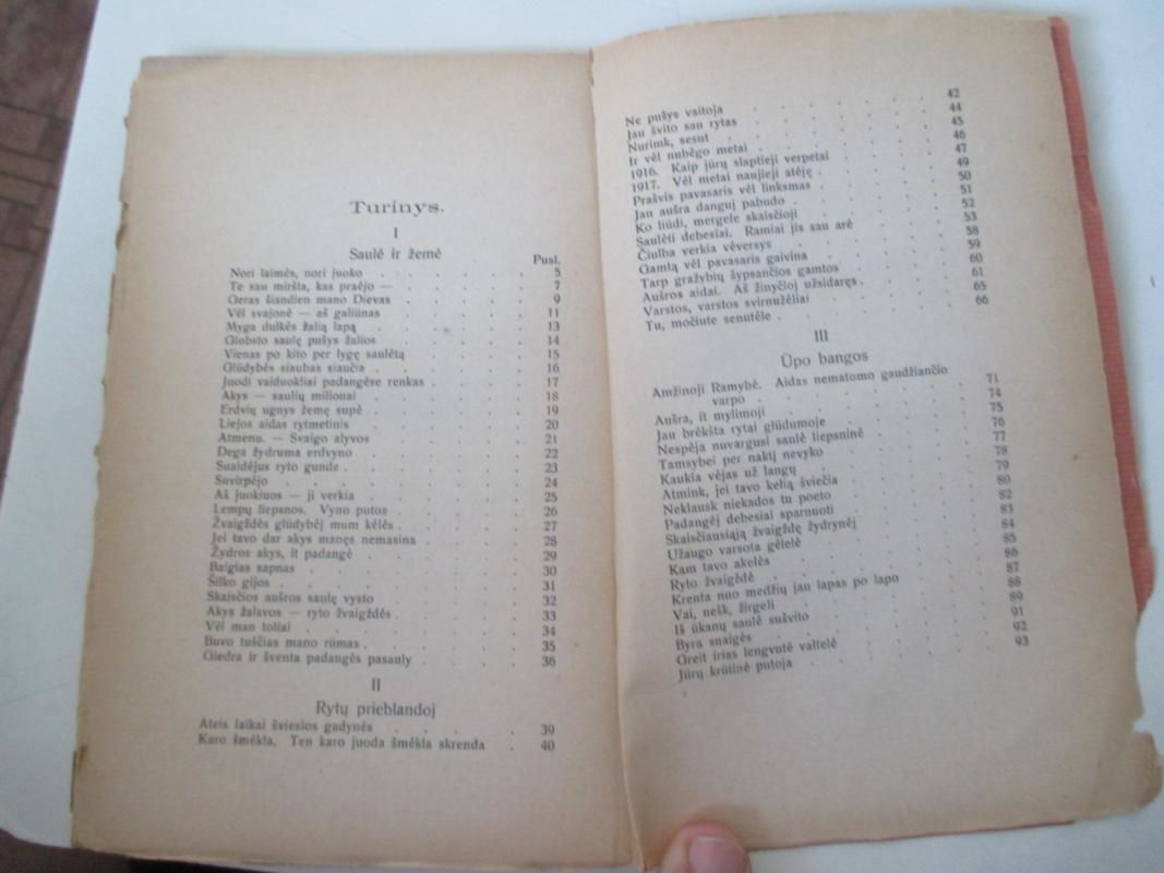 P.Vaičiūnas Rasoti spinduliai,1923 m - Petras Vaičiūnas, knyga 4