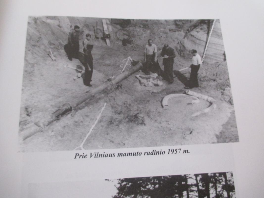 Kvarteristas Petras Vaitiekūnas: geologija – gyvenimo būdas - Autorių Kolektyvas, knyga 4