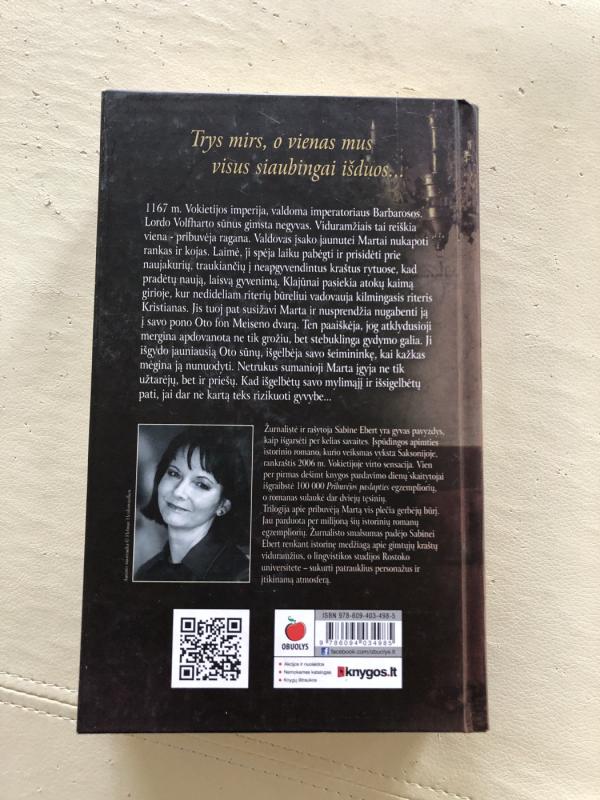 Pribuvėjos paslaptis - Sabine Ebert, knyga 3