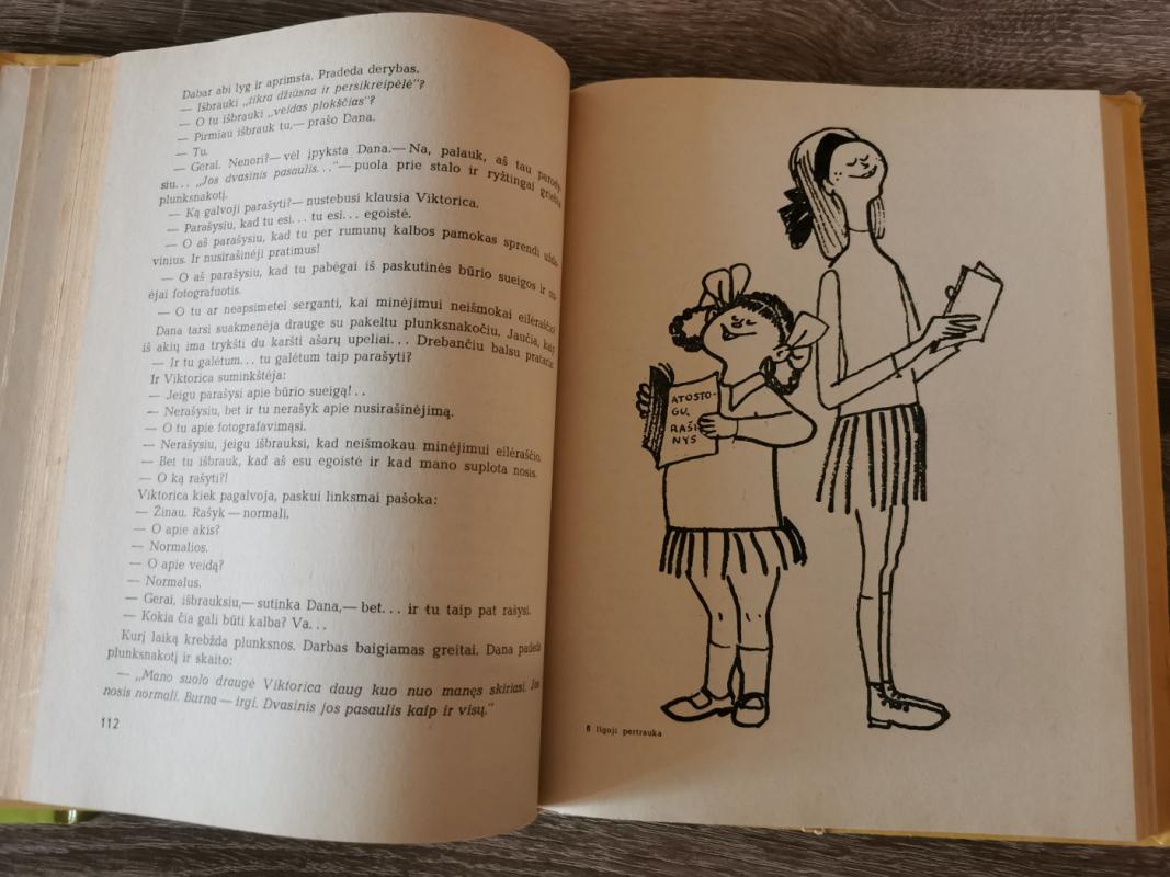 Ilgoji pertrauka - Mirčia Sintimbrianus, knyga 4