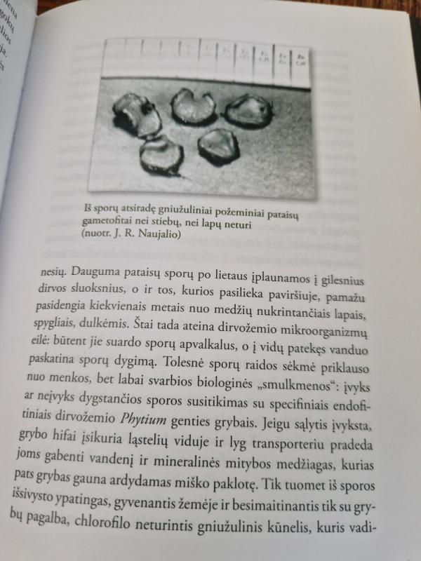 Paskui augalus po Varėnos miškus - Naujalis J. R., knyga 6