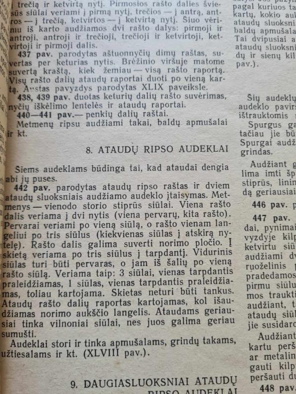 Audimas - Olga Lapienytė, knyga 6