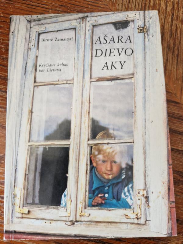 Ašara Dievo Aky - Birutė Žemaitytė, knyga 4