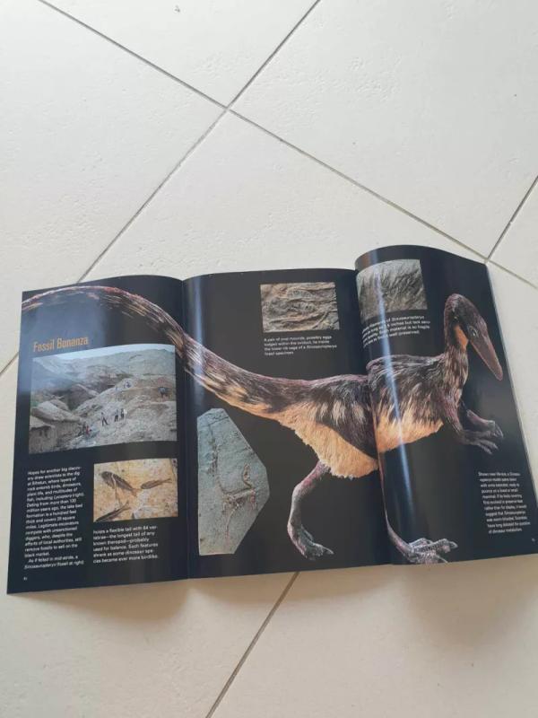 National Geographic 1998 July - Autorių kolektyas, knyga 4