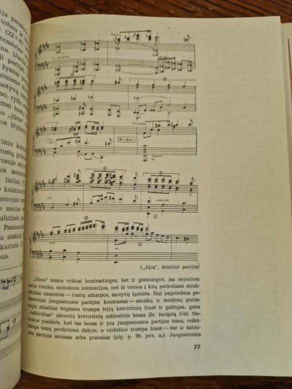 Čiurlionio muzika - Vytautas Landsbergis, knyga 5