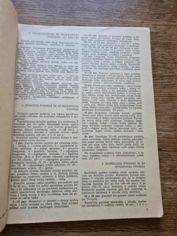 Audimas - Olga Lapienytė, knyga 5