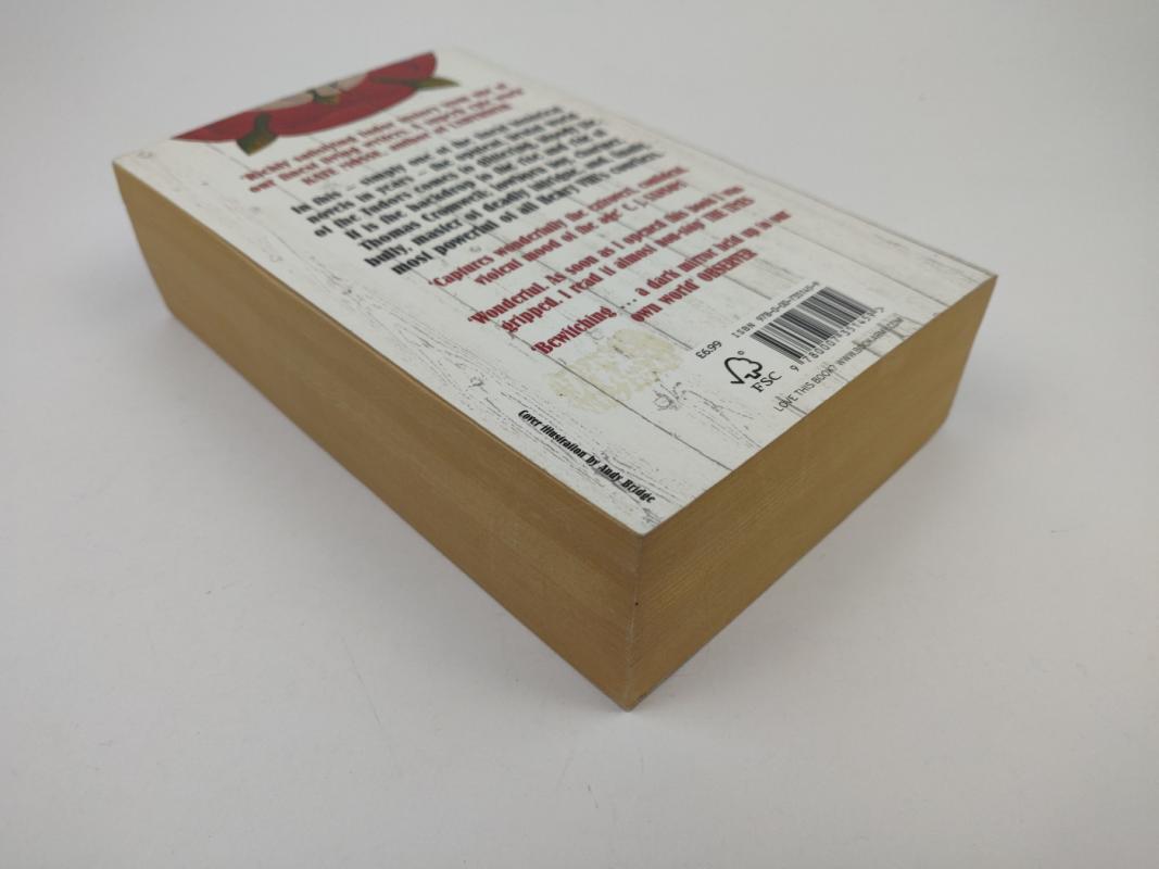 Wolf Hall - Hilary Mantel, knyga 5