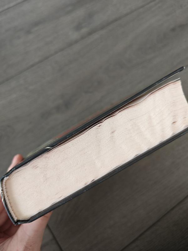 Klajonių metai - Isabel Allende, knyga 4