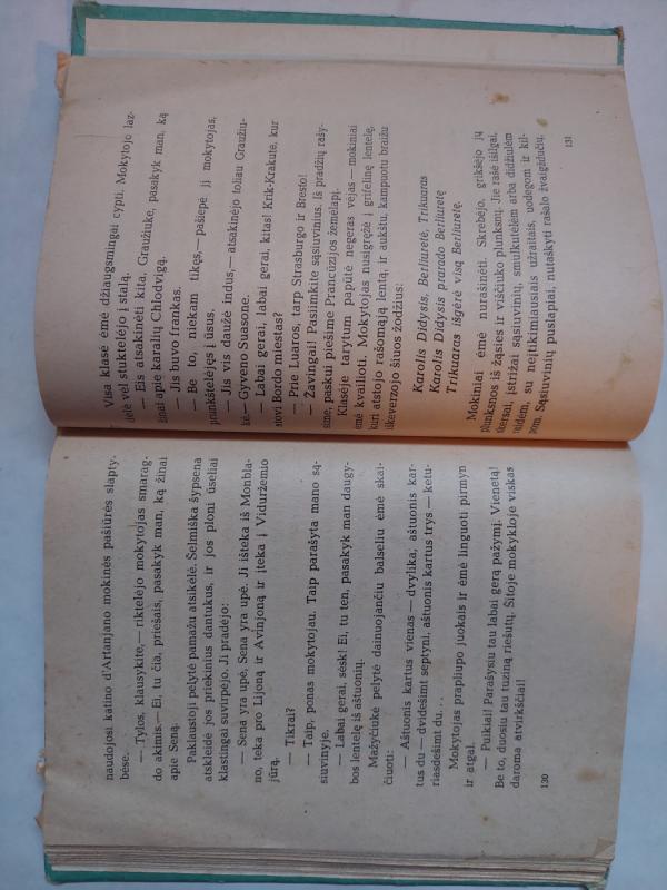 Berliuretės upelio paslaptis - P. Gamara, knyga 5