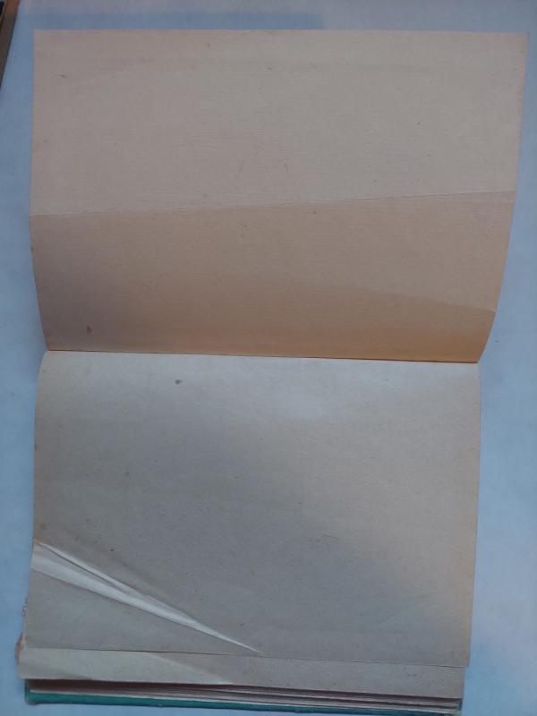 Berliuretės upelio paslaptis - P. Gamara, knyga 4