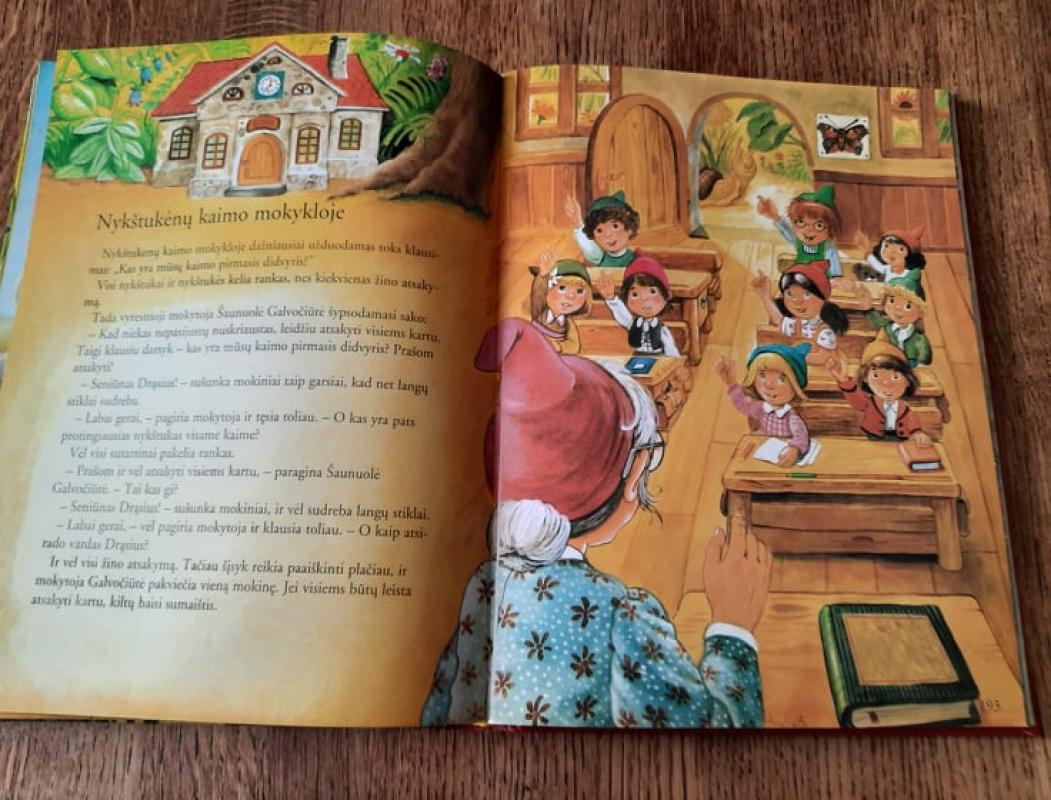 Pasakų šaly, nykštukų karalystėj - Anne Suess, knyga 4