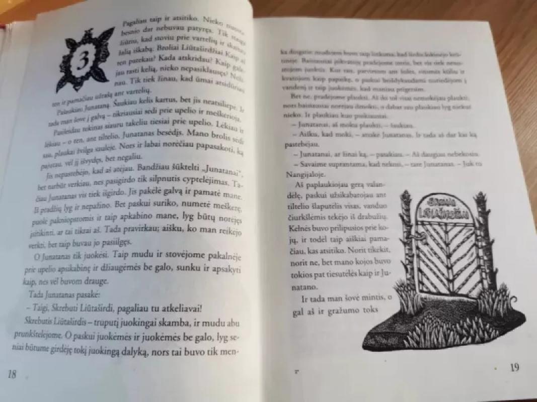 Broliai Liūtaširdžiai - Astrid Lindgren, knyga 4