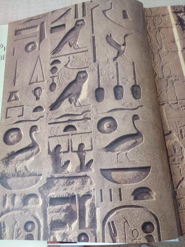 Praeities didybė ir magija - Autorių Kolektyvas, knyga 5