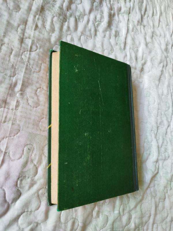 Aukso žmogus - Moras Jokajus, knyga 5