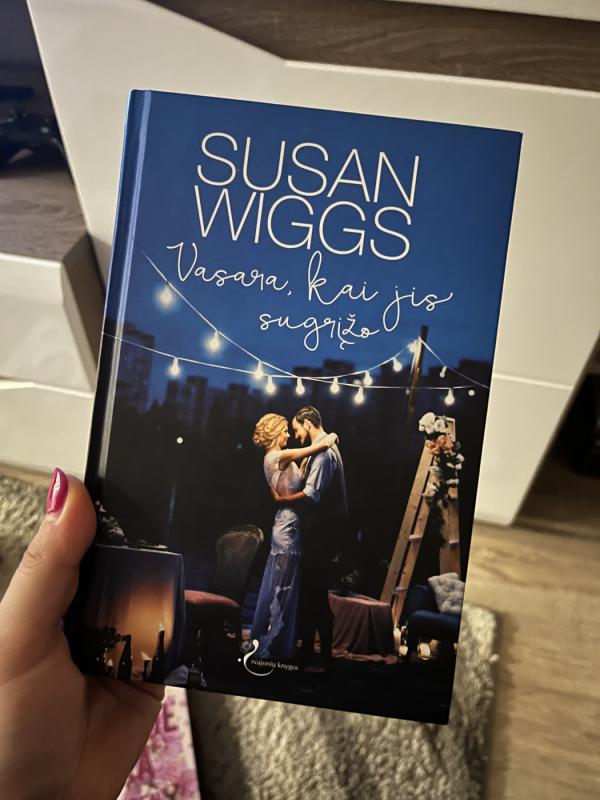 Vasara, kai jis sugrįžo - Susan Wiggs, knyga 2