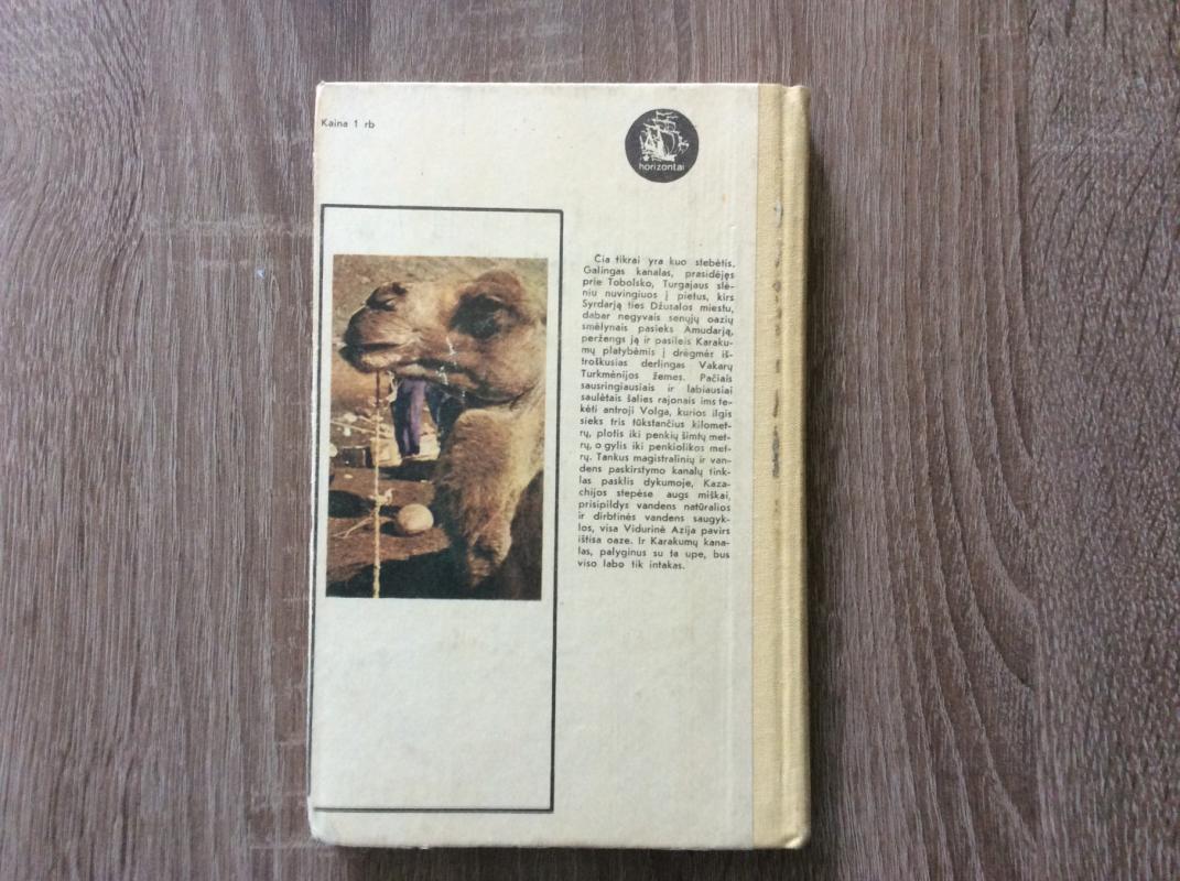 Kelionė į miražų šalį - Vladimiras Rybinas, knyga 5