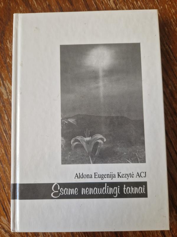 Esame nenaudingi tarnai - Autorių Kolektyvas, knyga 3