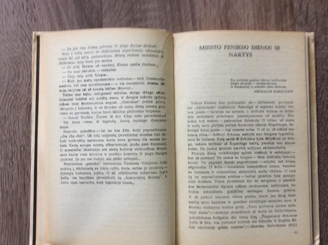 Kelionė į miražų šalį - Vladimiras Rybinas, knyga 4