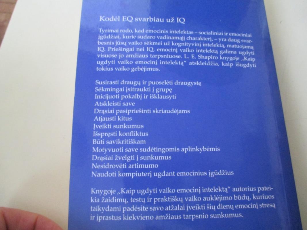 Kaip ugdyti vaiko emocinį intelektą - Lawrence E. Shapiro, knyga 4