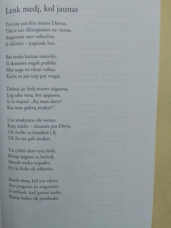 Kada sunku tau bus širdy - Jolanta Toločkaitė, knyga 6