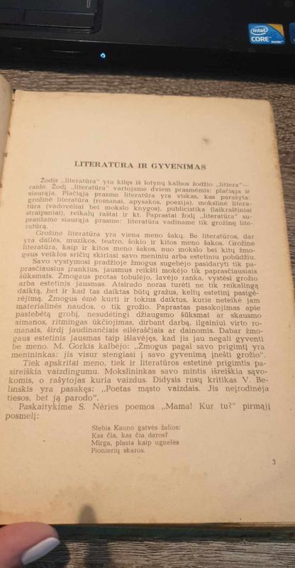 Literatūra IX klasei - Autorių kolektyas, knyga 4