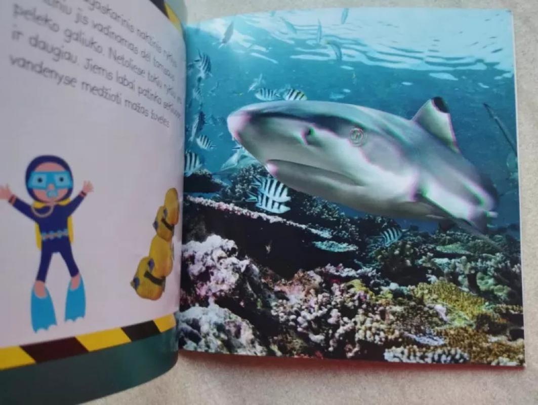 Lobiai iš gelmių - Debora Lock, knyga 5