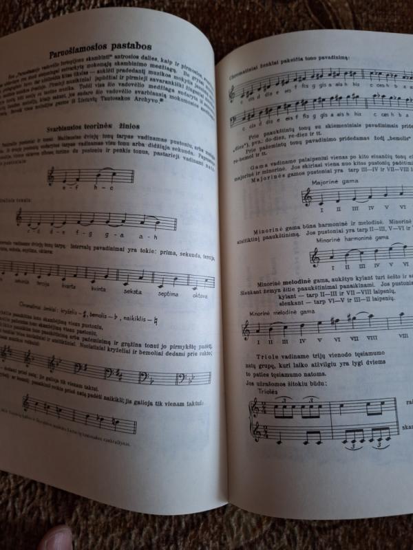 Mažasis pianistas - J. Čiurlionytė, knyga 4