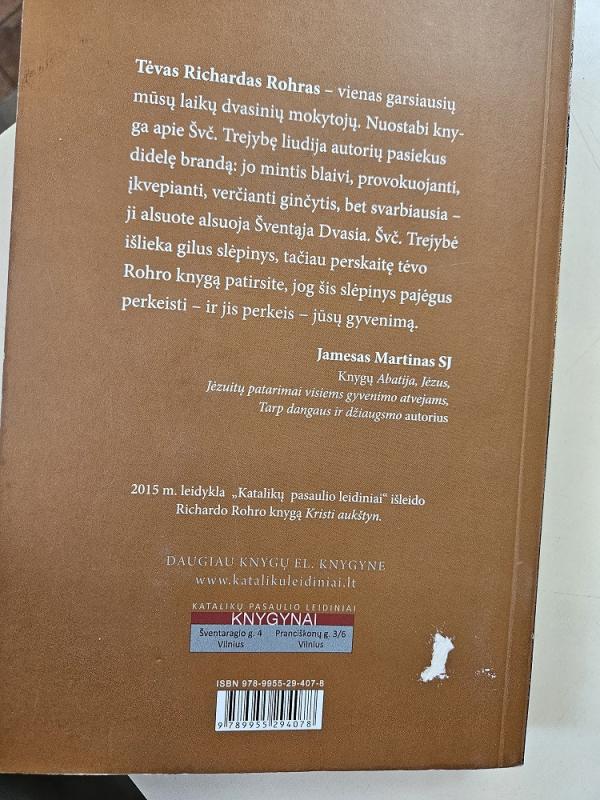 Dieviškas šokis. Švč. Trejybės ir asmens transformacija - Richard Rohr, knyga 5