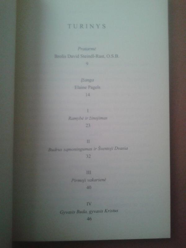 Gyvasis Buda, gyvasis Kristus - Thich Nhat Hanh, knyga 4