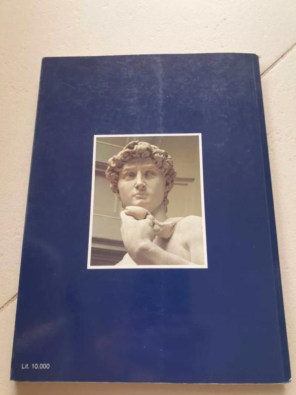 The cities of Art: Florence History Art Folklore - Riccardo Nesti, knyga 6